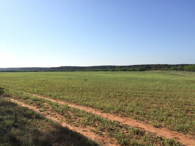 Views of the cultivated acreage