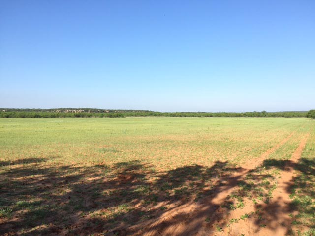 Views of the cultivated acreage