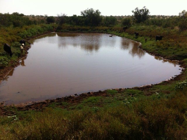 Surface pond