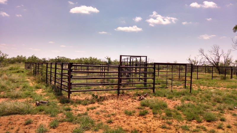 Recently constructed livestock pens