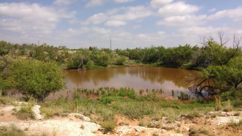 Large surface pond