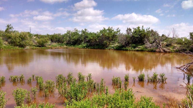 Large surface pond