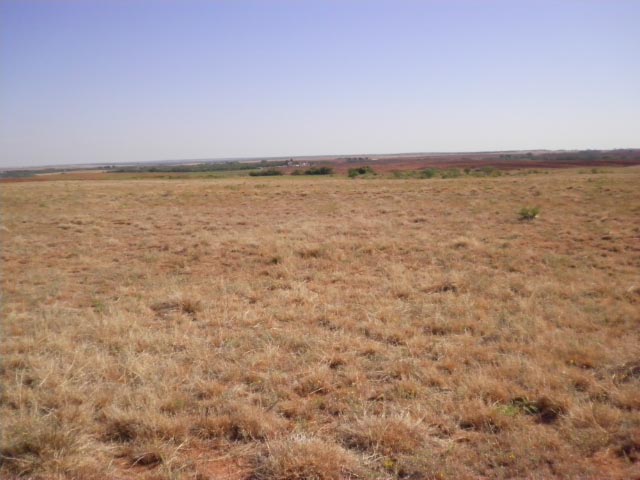 Views of the acreage