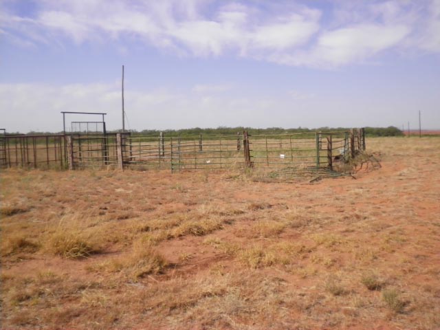 Livestock pens with electric service
